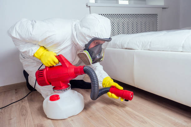 Reliable Glassboro, NJ Pest Control Solutions